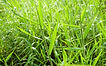 Imagem 25-08-2025 às 10.21.jpeg