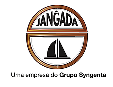 JANGADA PNG .png