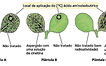 Imagem 05-09-2025 às 16.10 (4).jpeg