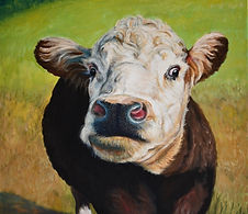 Portrait of a Cow