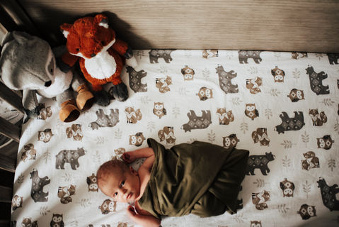 Lifestyle photography
Newborn photography
Couples photography
Family Photography
