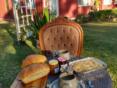 Pandemia covid 19 - Como seguimos adiante