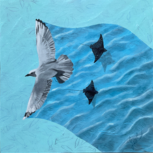 Huile , peinture , oiseaux, IsaC artiste