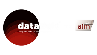 DataBelt by Aim logo