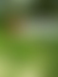 ¿Qué onda con la cuaresma?