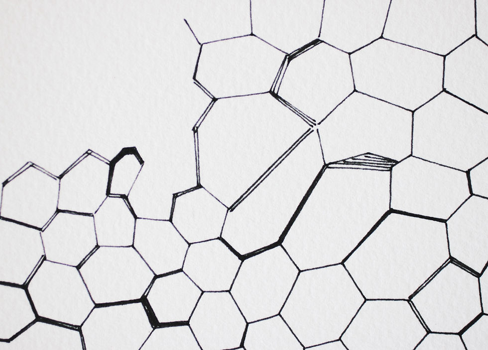 Thumbnail: Set of 2 LARGE Honeycomb Minimalist Drawings : Honeycomb V & VI