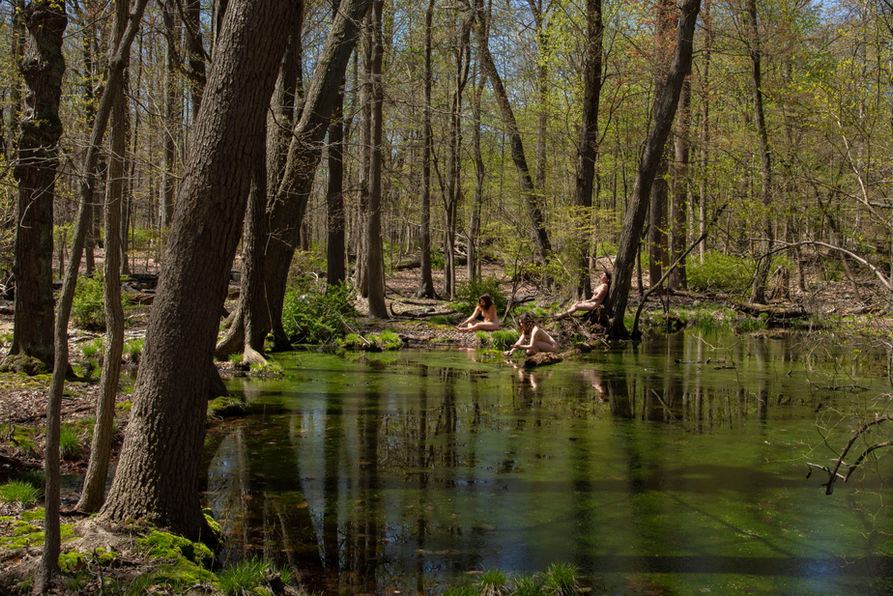 Mossy Pools 