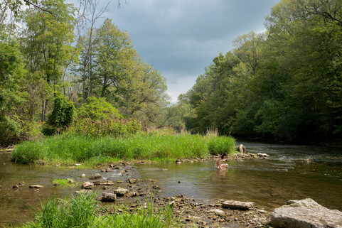 A Swim Before the Storm