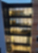 DJI_20240129165417_0015_D copy.jpeg