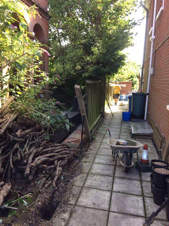 Removal of old fencing