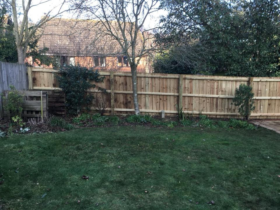 Finished fence