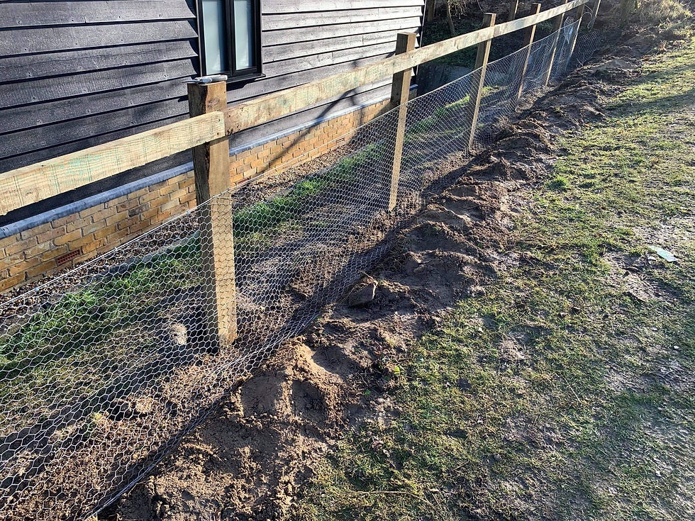 Post and Rail Fencing with Rabbit Wire