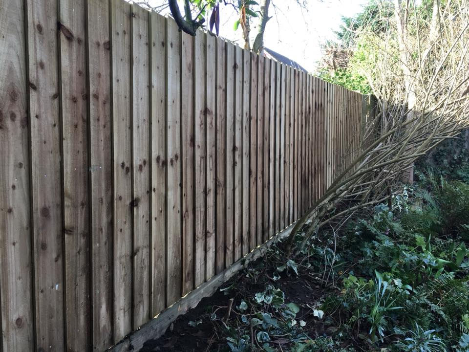 Finished Fence