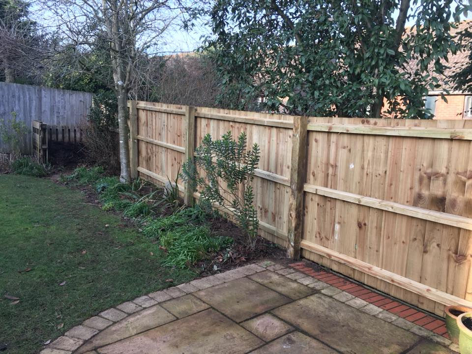 Finished Fence