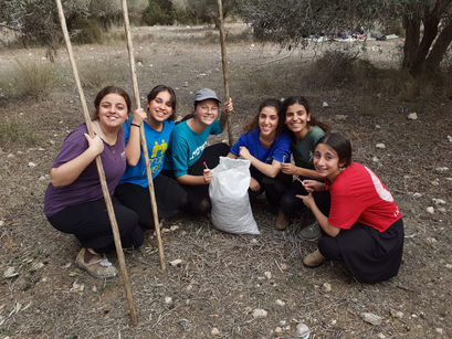 שישית יצאו למסיק זיתים חברתי