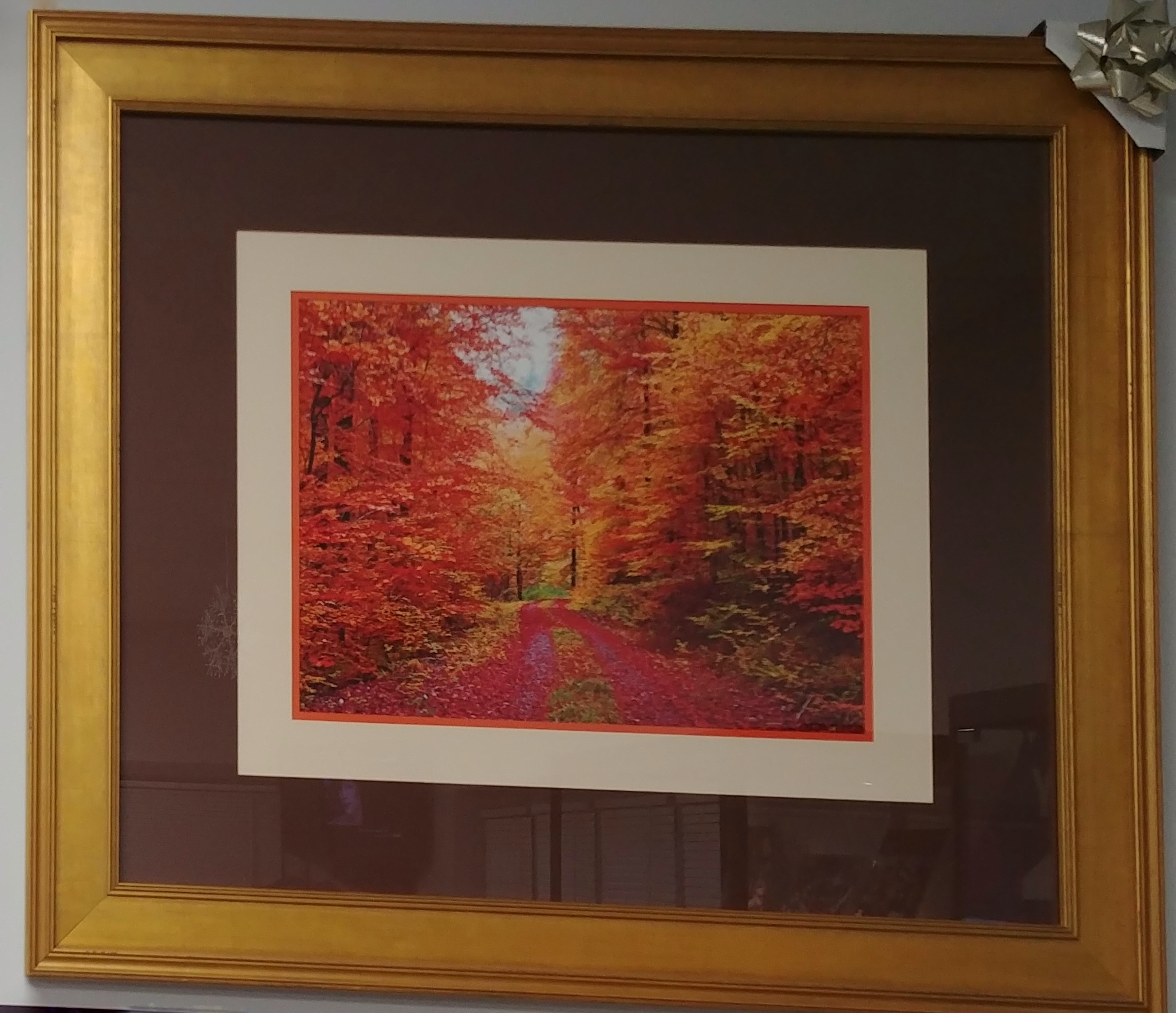 Fall Foliage