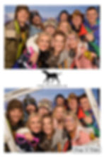 Goodwood Kennels - 141219