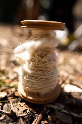 Spinning workshop 31st May-32 copy.jpg
