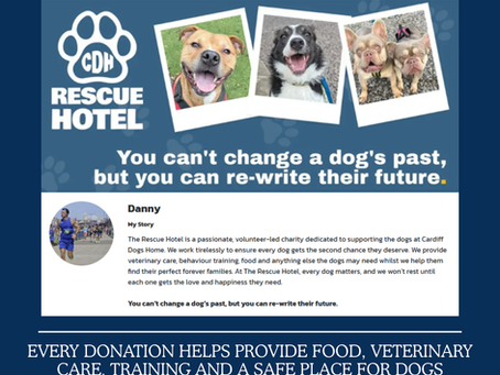 Help Danny Support the CDH Rescue Hotel
