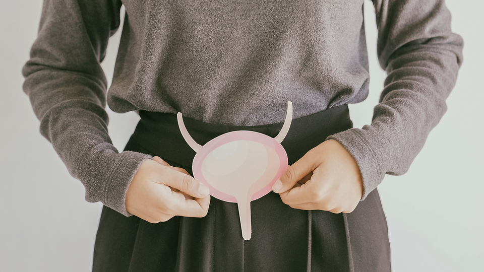 pelvic floor