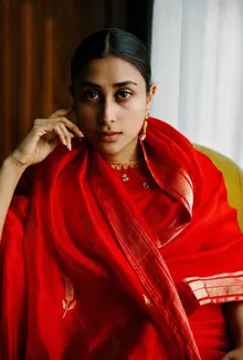 Chanderi Sarees for Raw Mango