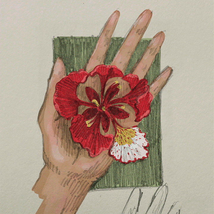 Untitled_Artwork 2 copy.gif