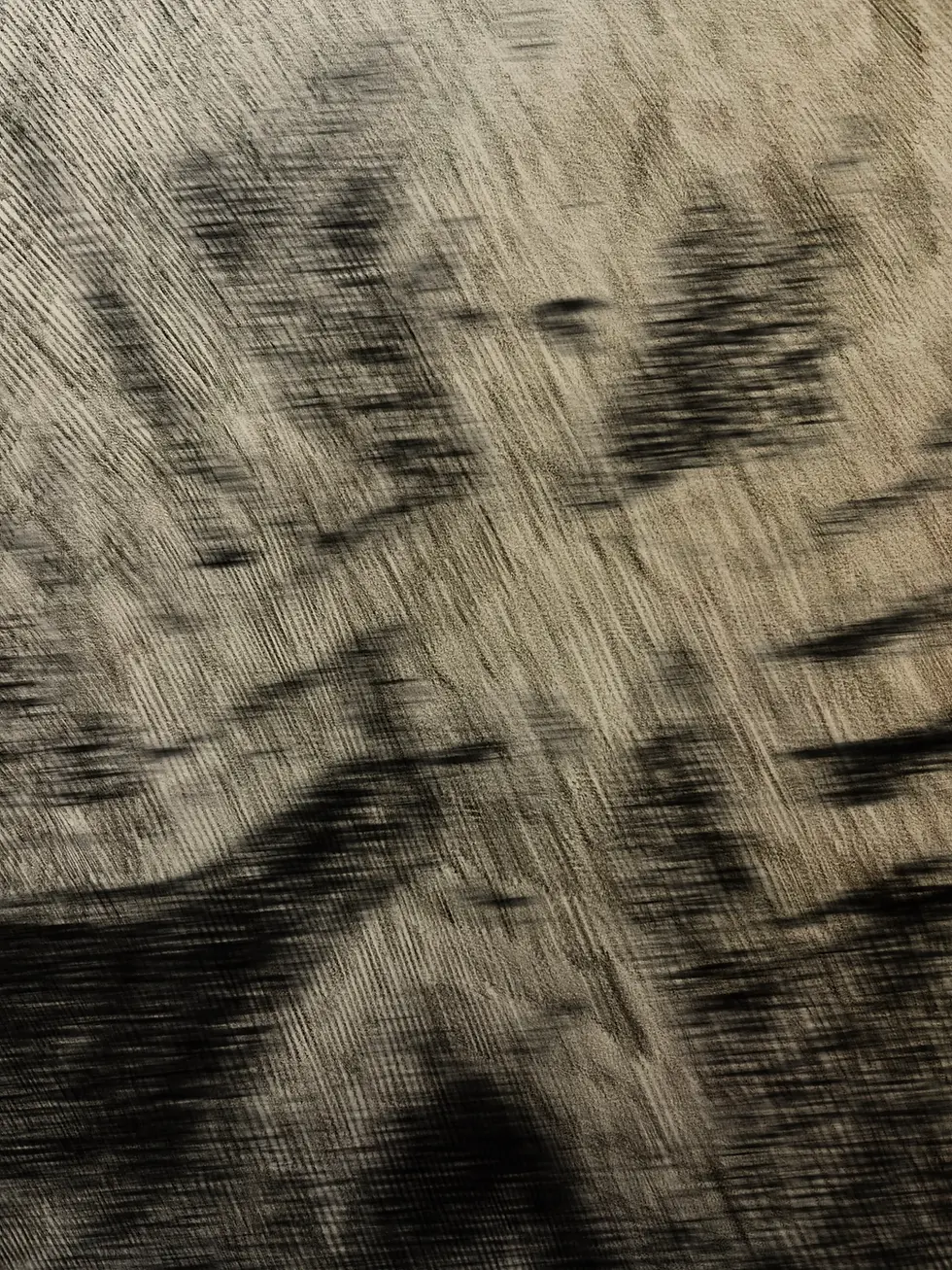 Before I Forget, The Books