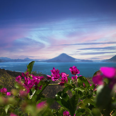 Panoramic views of a very special place... Lake Atitlan, framed with Bougainvillea flowers. Welcome to the land of Eternal Spring. Fine-Art Nature Landscape by Amy Joy Alvarado, and part of my Back to Nature Series: https://www.amyalvarado.art/back-to-nature-art-series