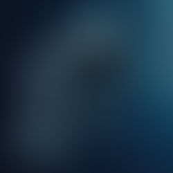 Are We Creating Silos in the Gender Equality Conversation?