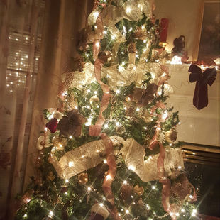 The Christmas Tree