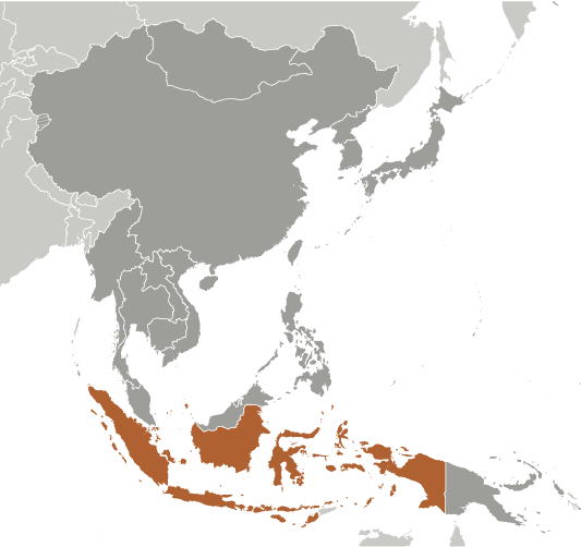 Around the Globe in 6 Weeks - Part 2: Asia