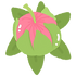 ดอกลำพู.png