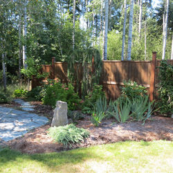 Deer Proof Plantings