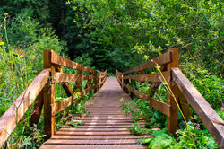 Bridge at Red Lake Romania