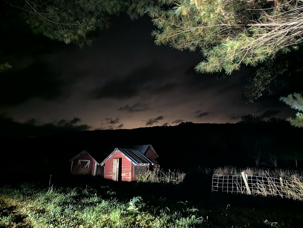 Clark Homestead Investigation