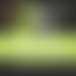 3 Logo filed types you should have and why