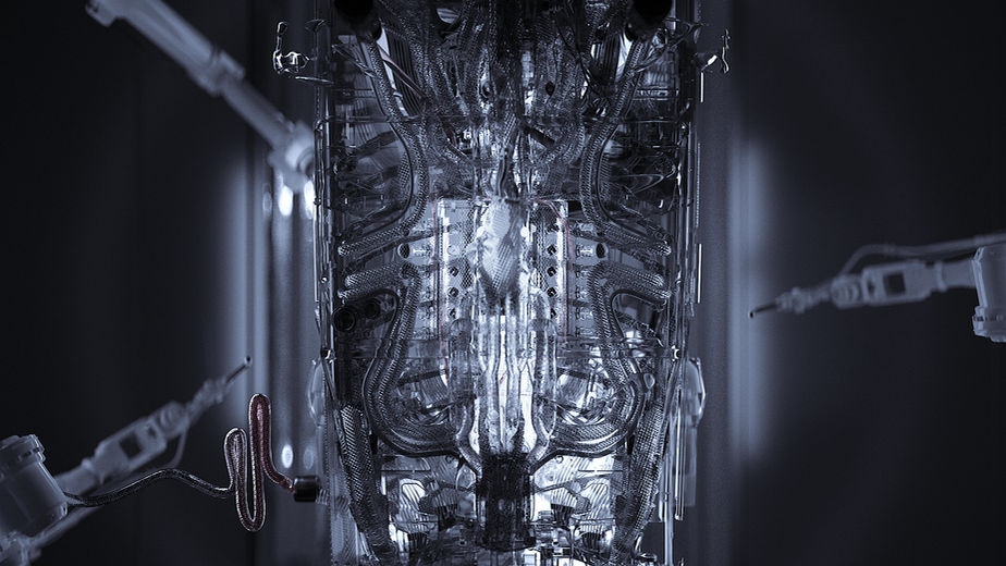 Bone_w_01 (00019).jpg