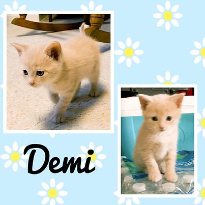 Demi