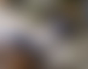 Mars to Earth Back to Love (1)