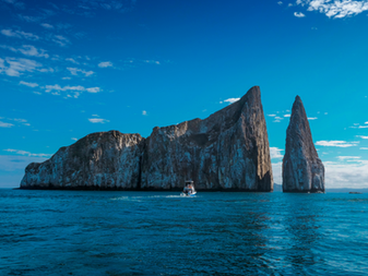 The Galapagos Escape: Witnessing Extraordinary Wildlife and Natural Beauty