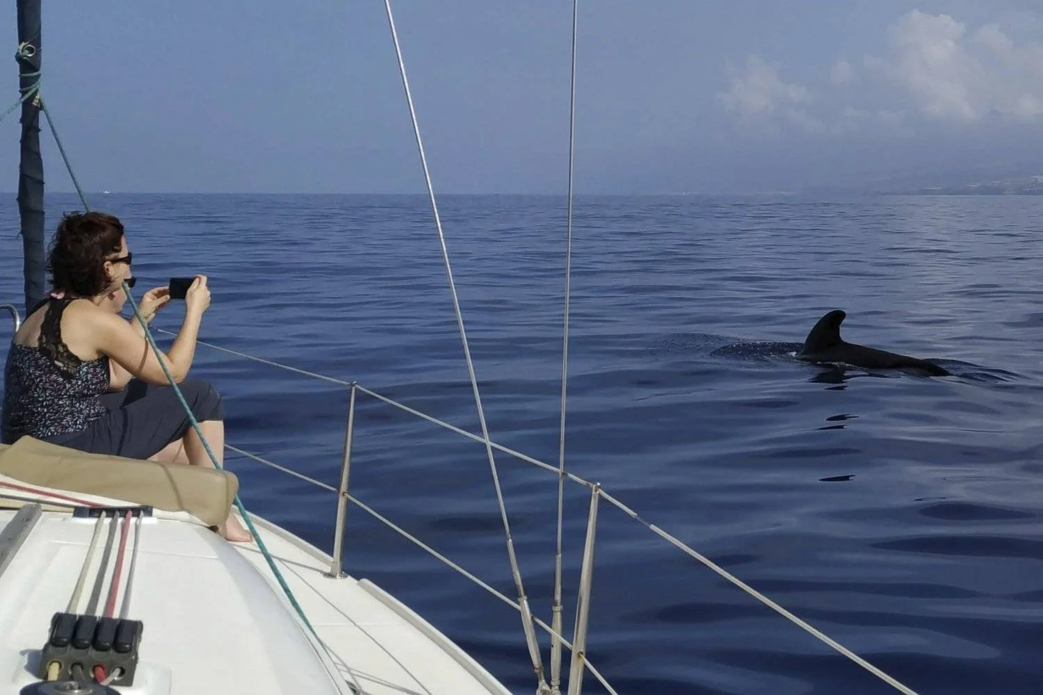 Tengeri élővilág megfigyelése vitorlás hajóról Costa Adeje közelében
