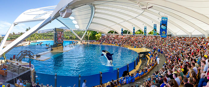 Loro Park Tenerife