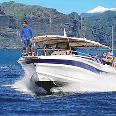 motorcsónakos bálnales Tenerife