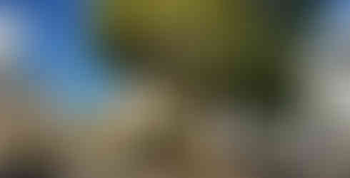 Anaga hegysĂ©g zöld erdĆi Tenerife â termĂ©szetközeli privĂĄt tĂșra