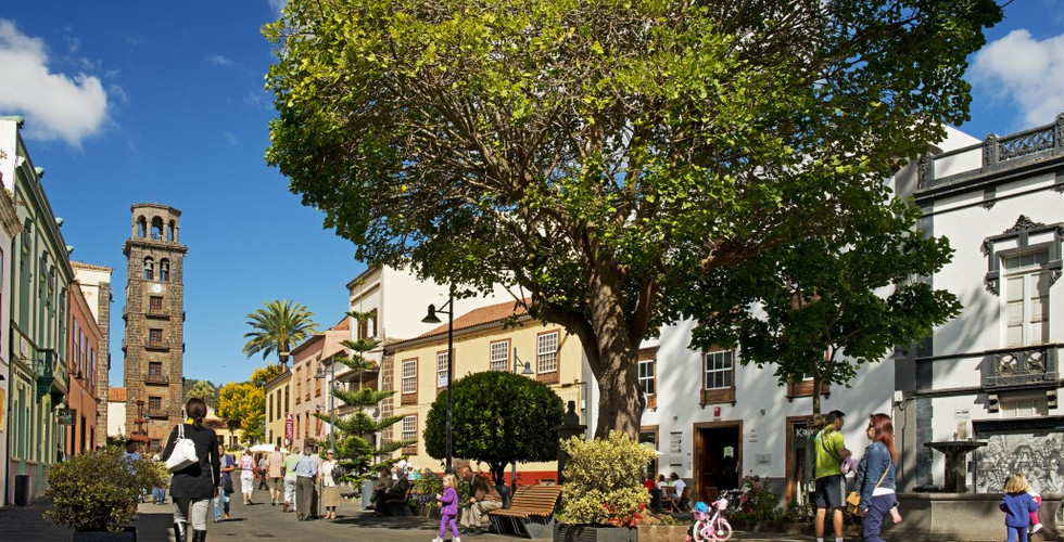 Anaga hegysĂ©g zöld erdĆi Tenerife â termĂ©szetközeli privĂĄt tĂșra