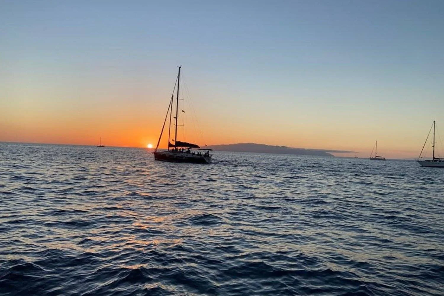 Delfin- és bálnales vitorláson Tenerife partjainál az Atlanti-óceánon