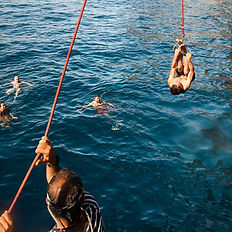 Baie în Oceanul Atlantic în timpul excursiei Flipper Uno