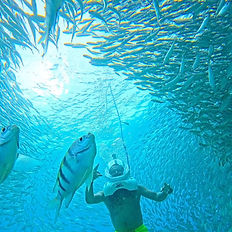 Sea Trek Tenerife árak és víz alatti séta búvárvizsga nélkül Costa Adeje közelében