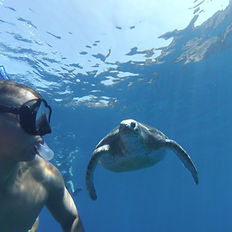 snorkeling kishajóról tenerife legjobb snorkel helyek