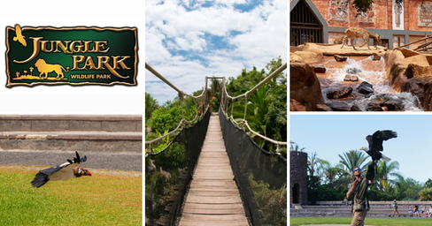 program gyerekekkel Tenerifén